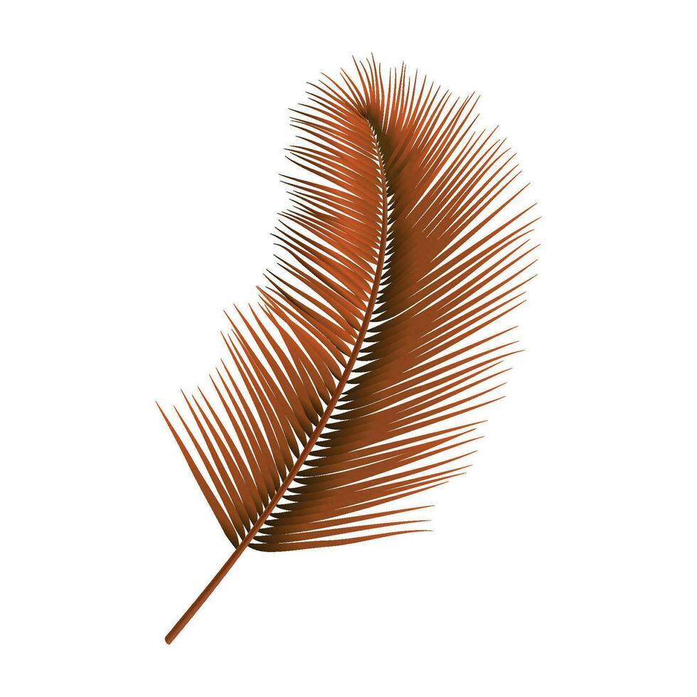 vector marrón realista palma hojas aislado en blanco