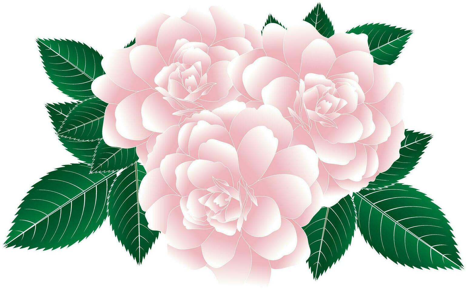 resumen de rosado Rosa flor con hojas en blanco antecedentes. vector