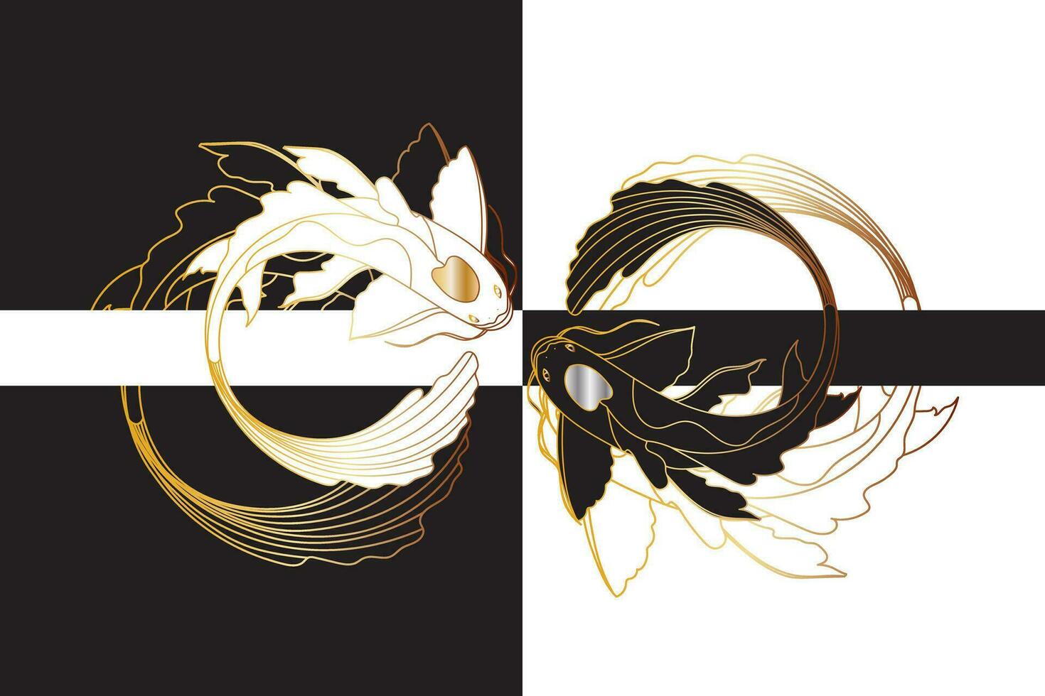 Illustration of Black and white koi fish with gold line on black and white background. vector