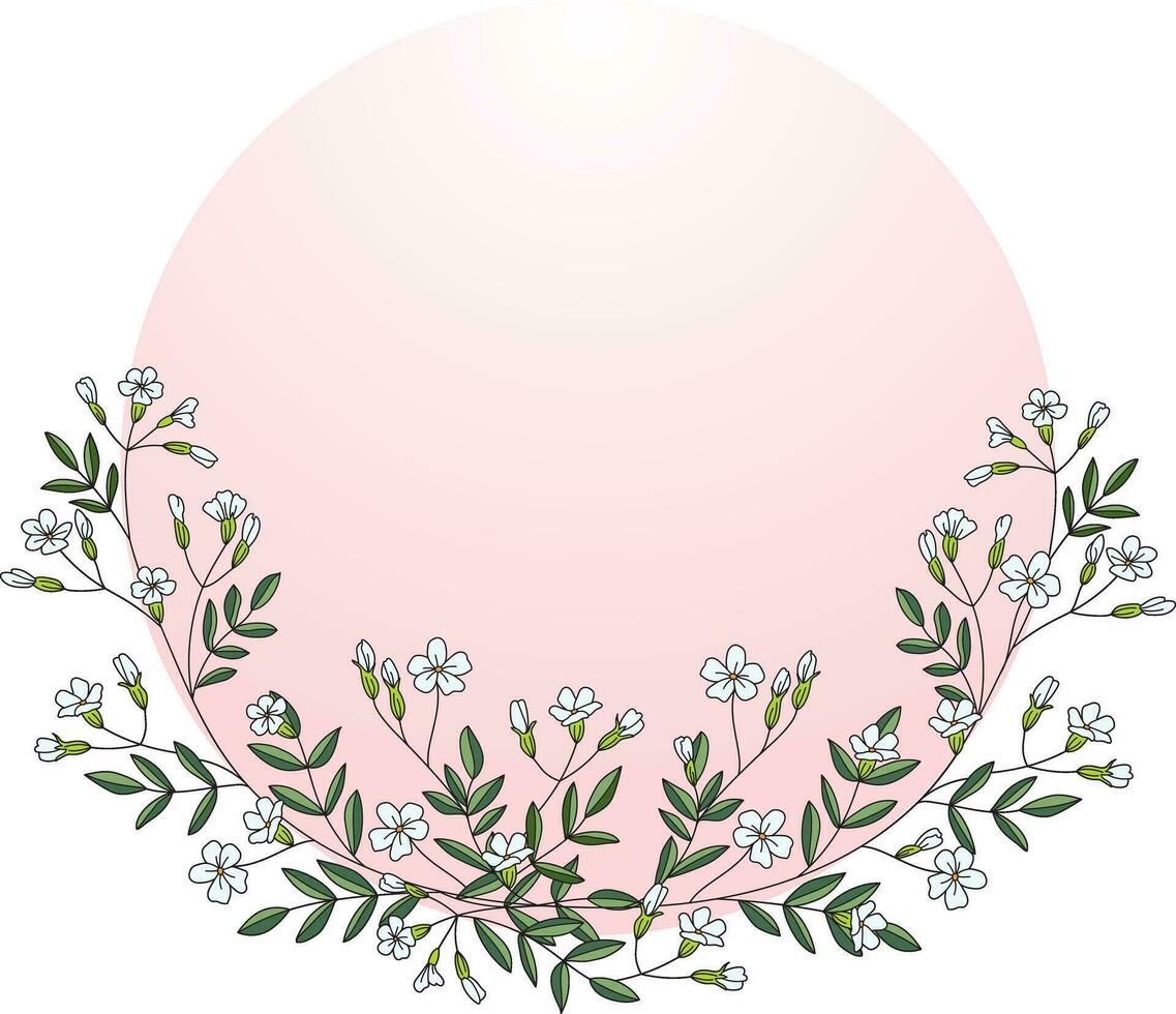 Illustration, Gypsophila flower with soft pink circle on white background. vector