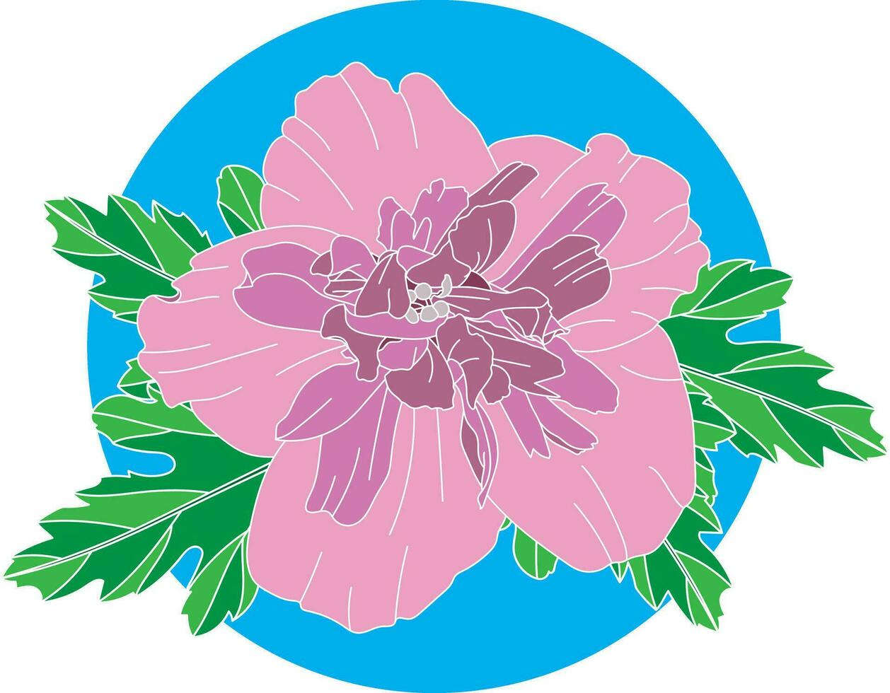 Illustration of pink Chinese Rose flower with leaves on blue circle background. vector