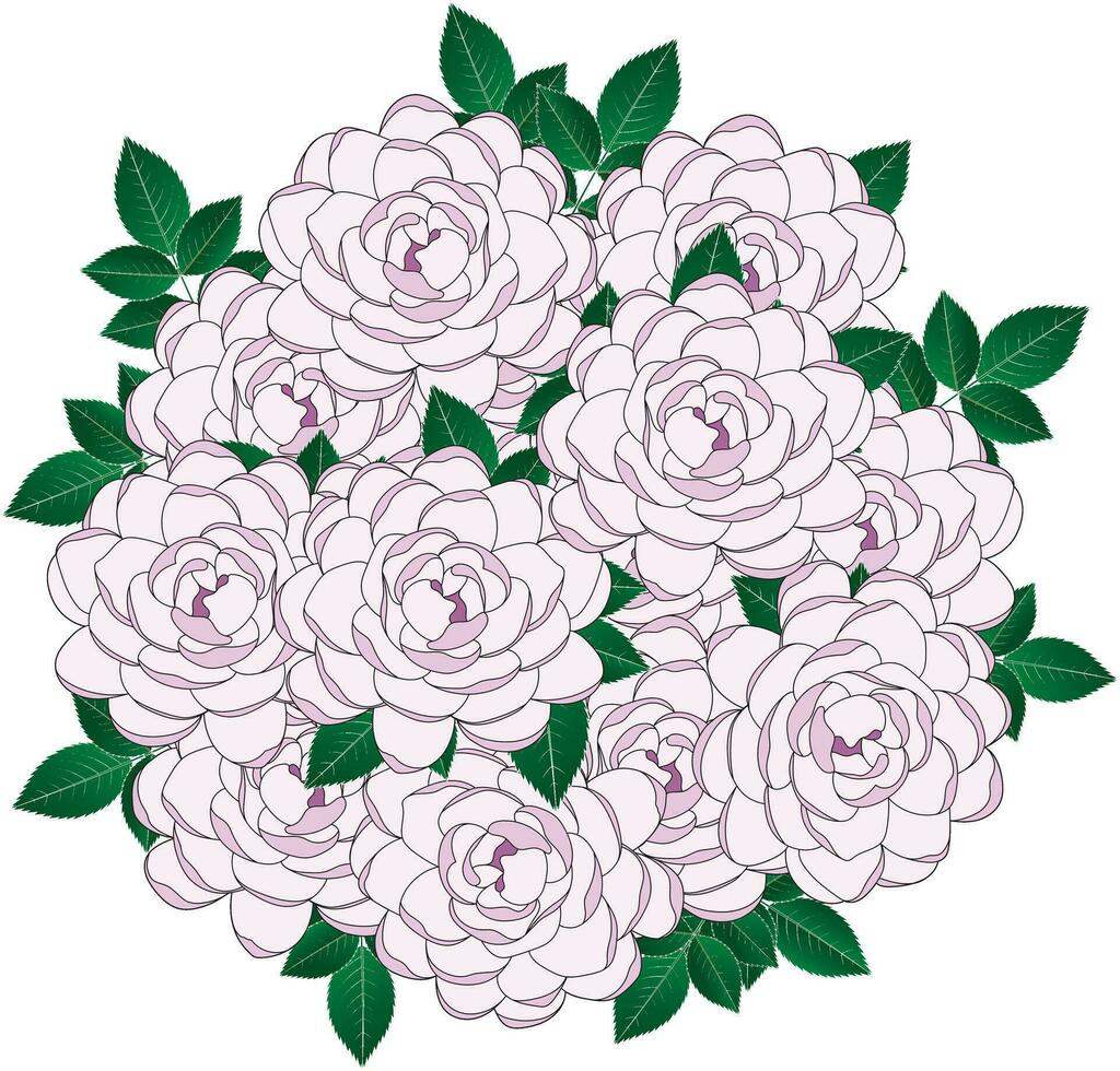 ilustración de floreciente rosado flor con hojas antecedentes. vector
