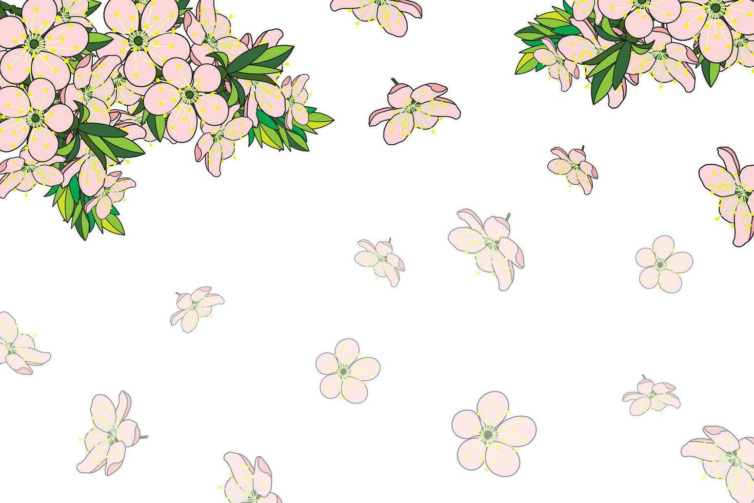 Illustration of the cherry bossoms flower bouquet with flower fall on empty background. vector
