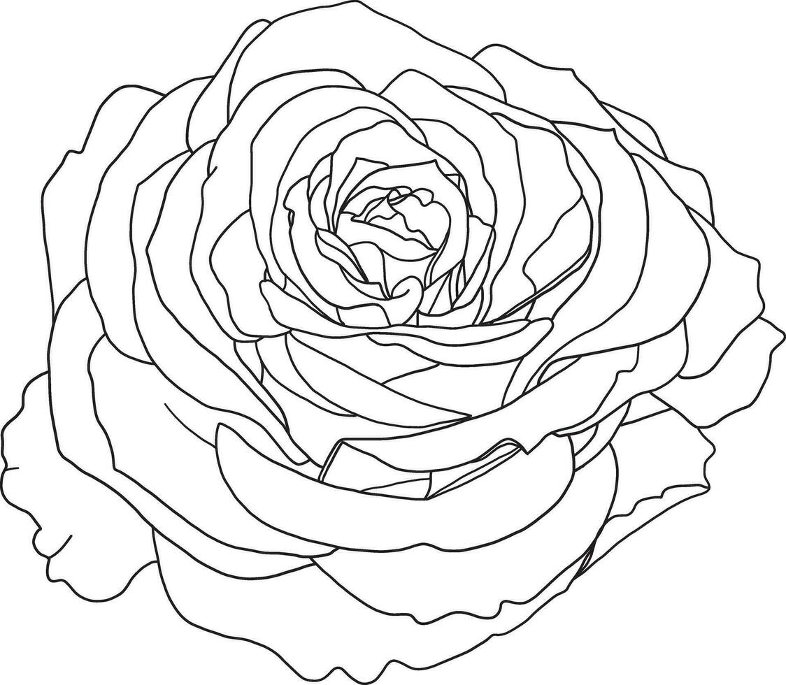 resumen línea Rosa flor son floreciente con vacío antecedentes. vector