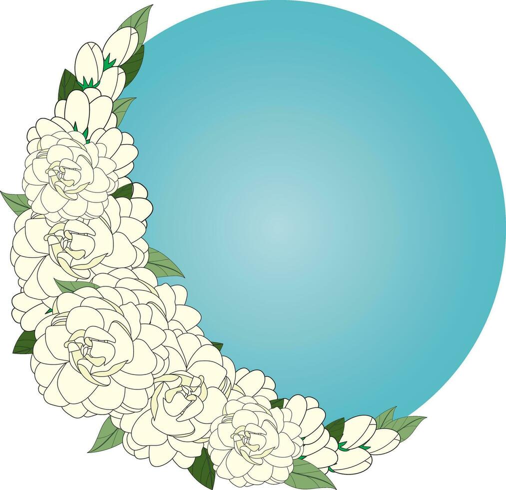 Illustration of white jasmine flower with leaves on blue circle background. vector