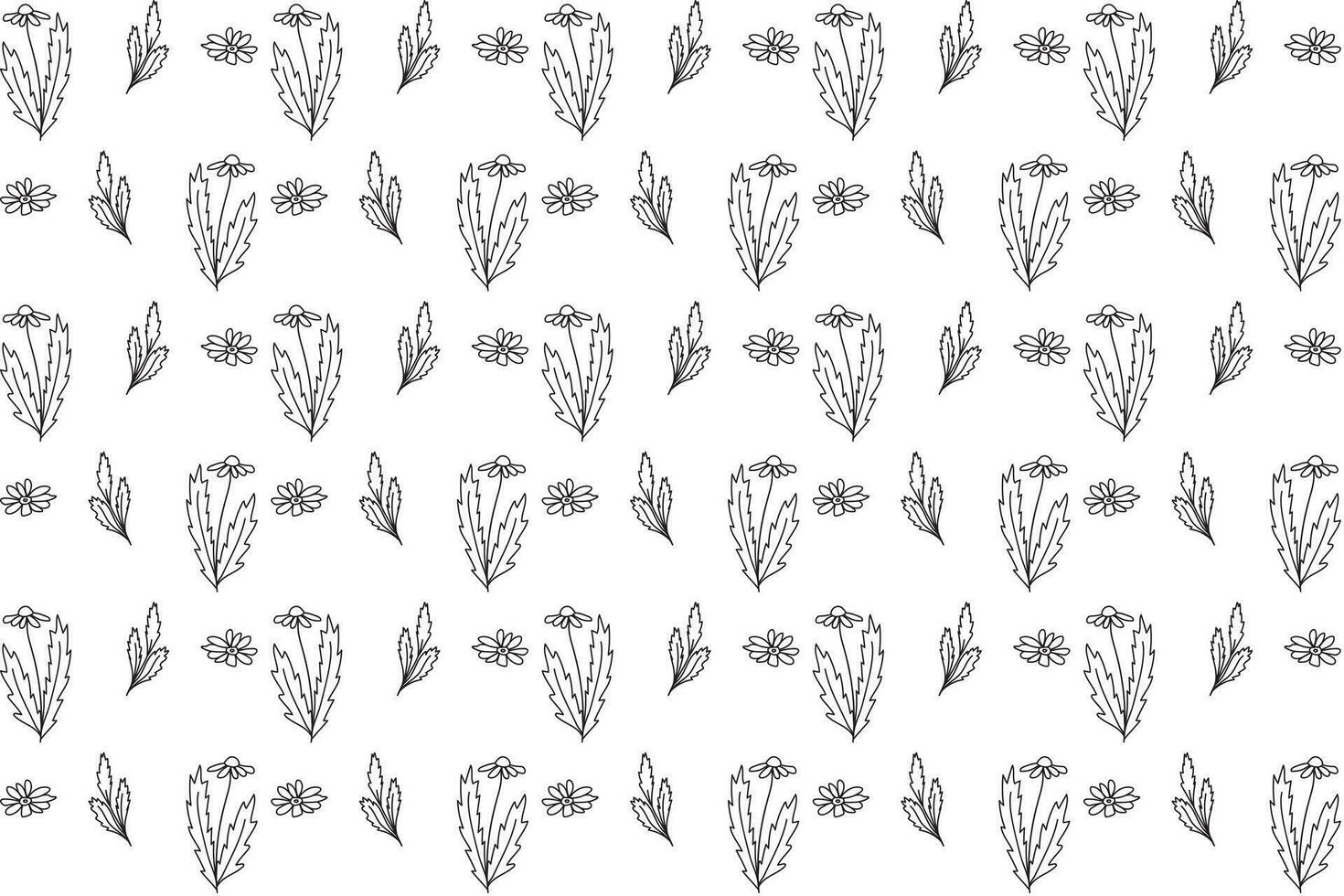 illustration line of flower and leaf pattern on white background. vector