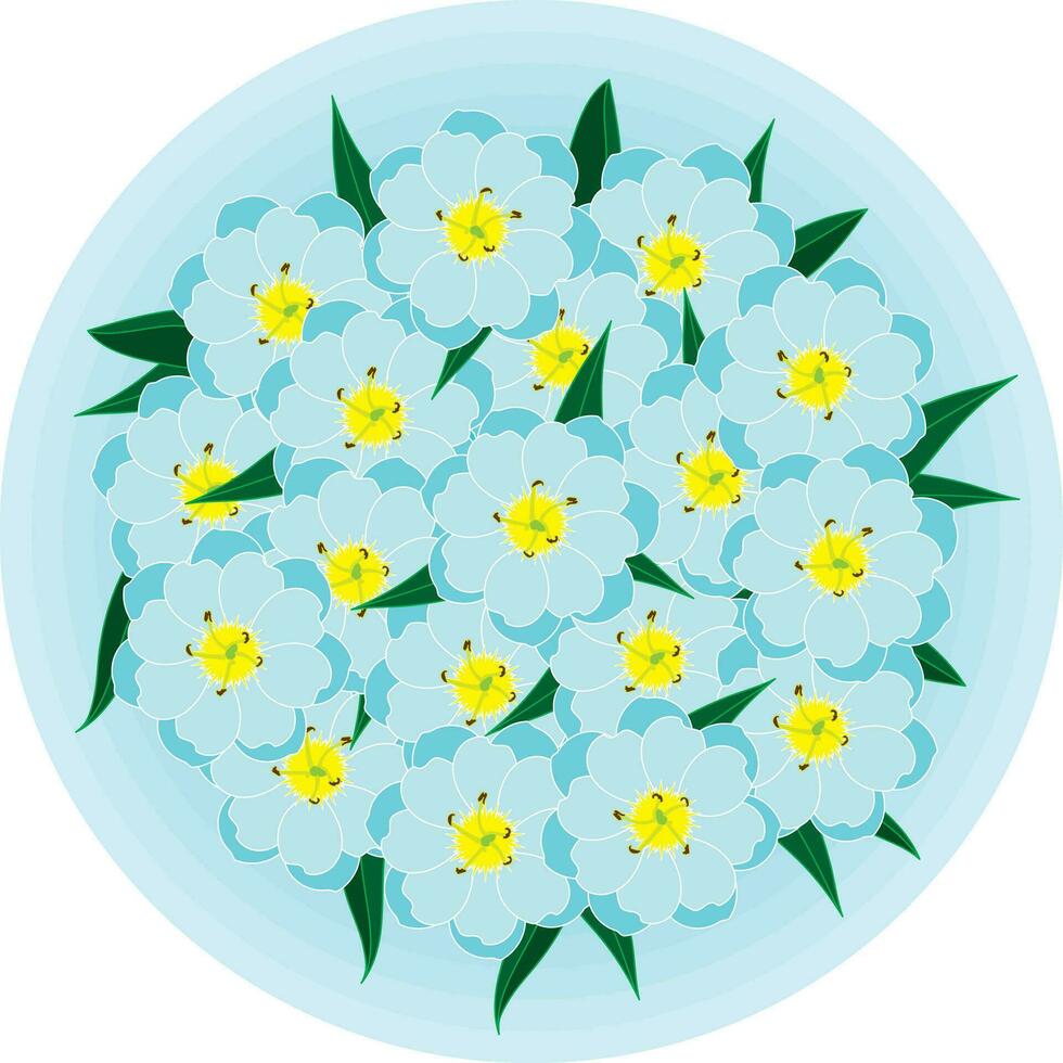 ilustración, el olvidar yo no flor en suave azul circulo antecedentes. vector