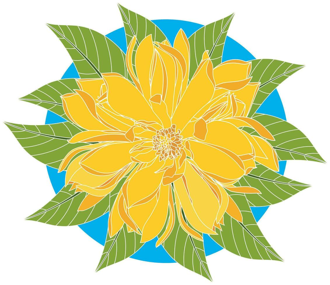 Illustration of Yellow Champaka blooming flower with leaf on blue circle background vector