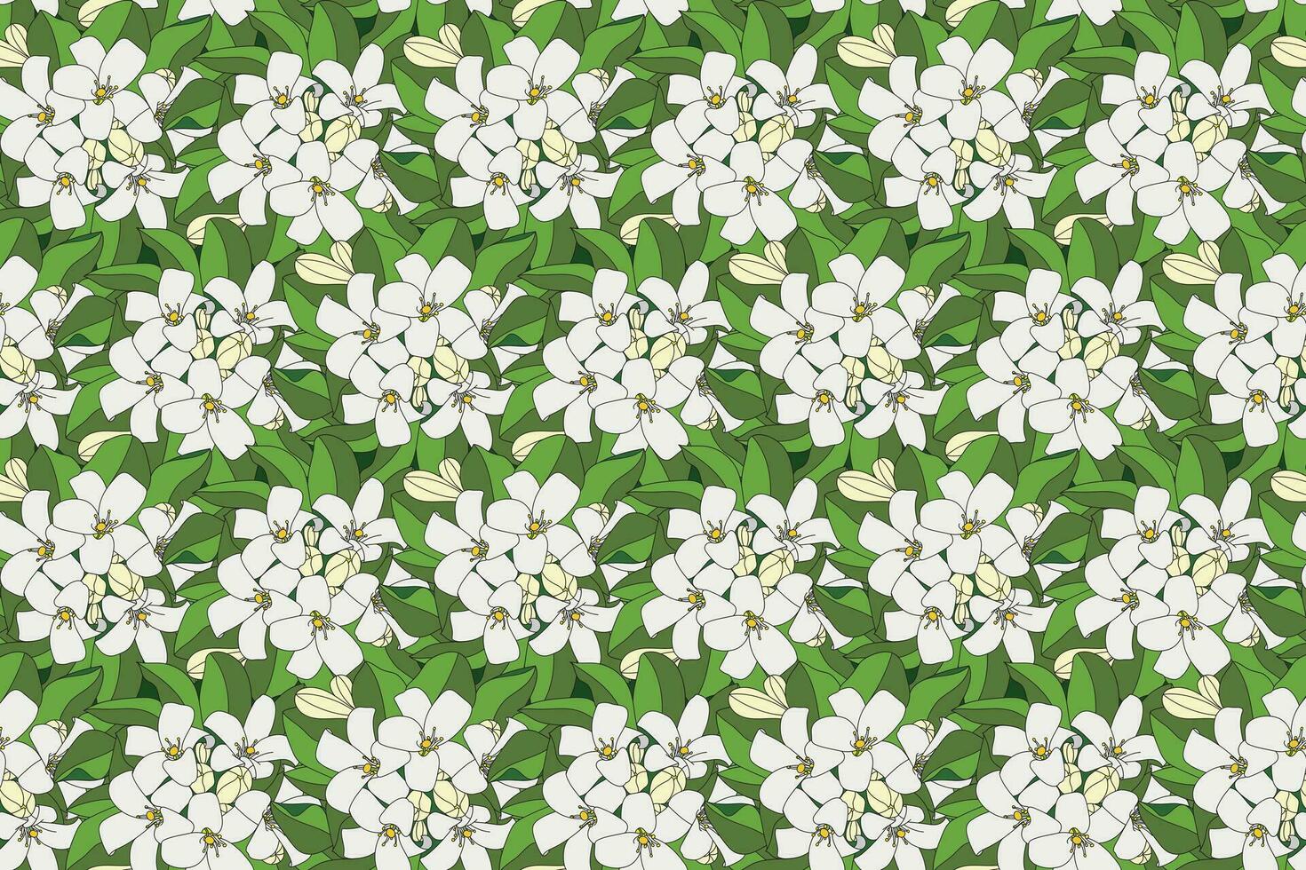 Illustration of Orange Jasmine or China Box flower with leaf background. vector