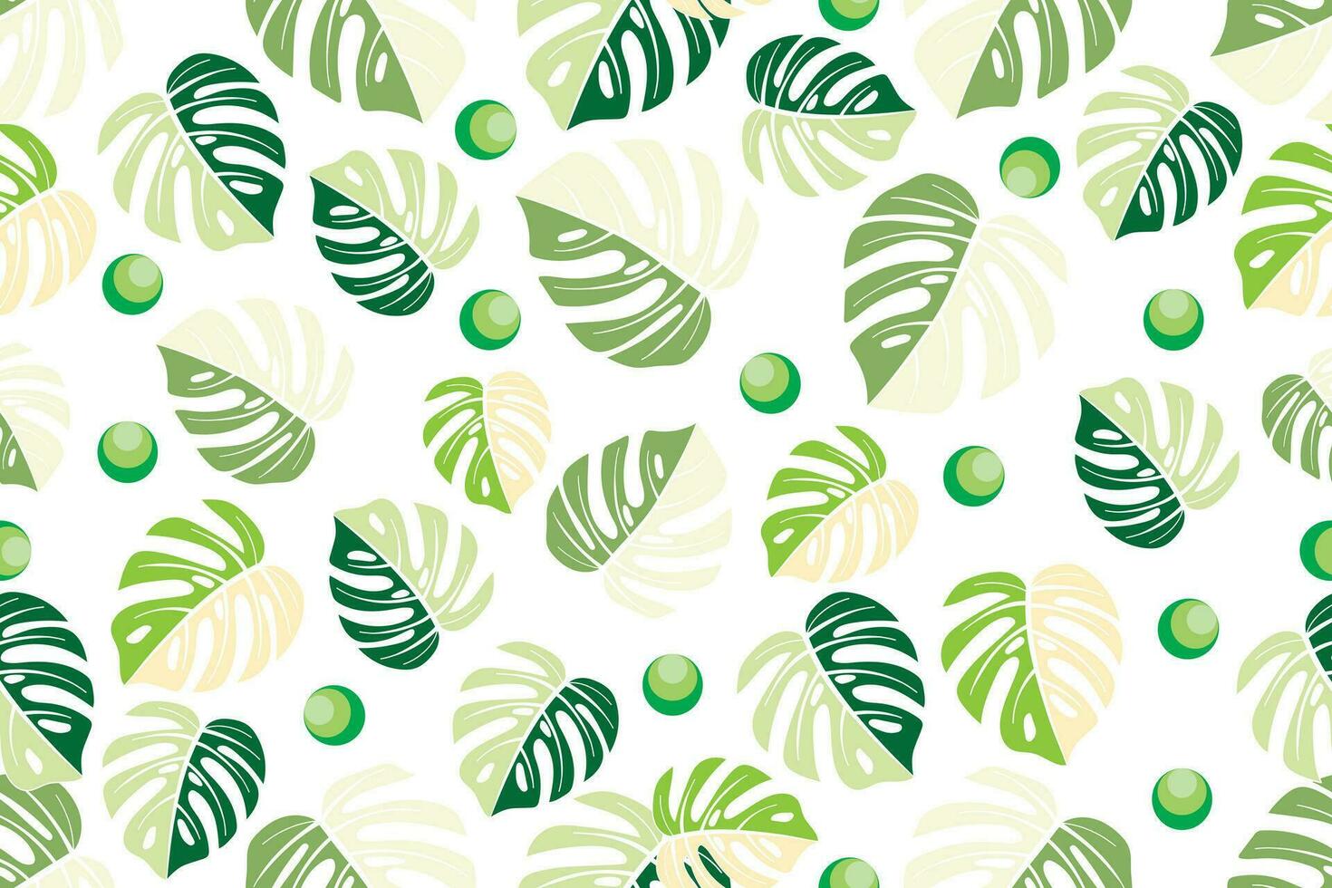 Illustration, Monstera spotted leaves with green ball background. vector