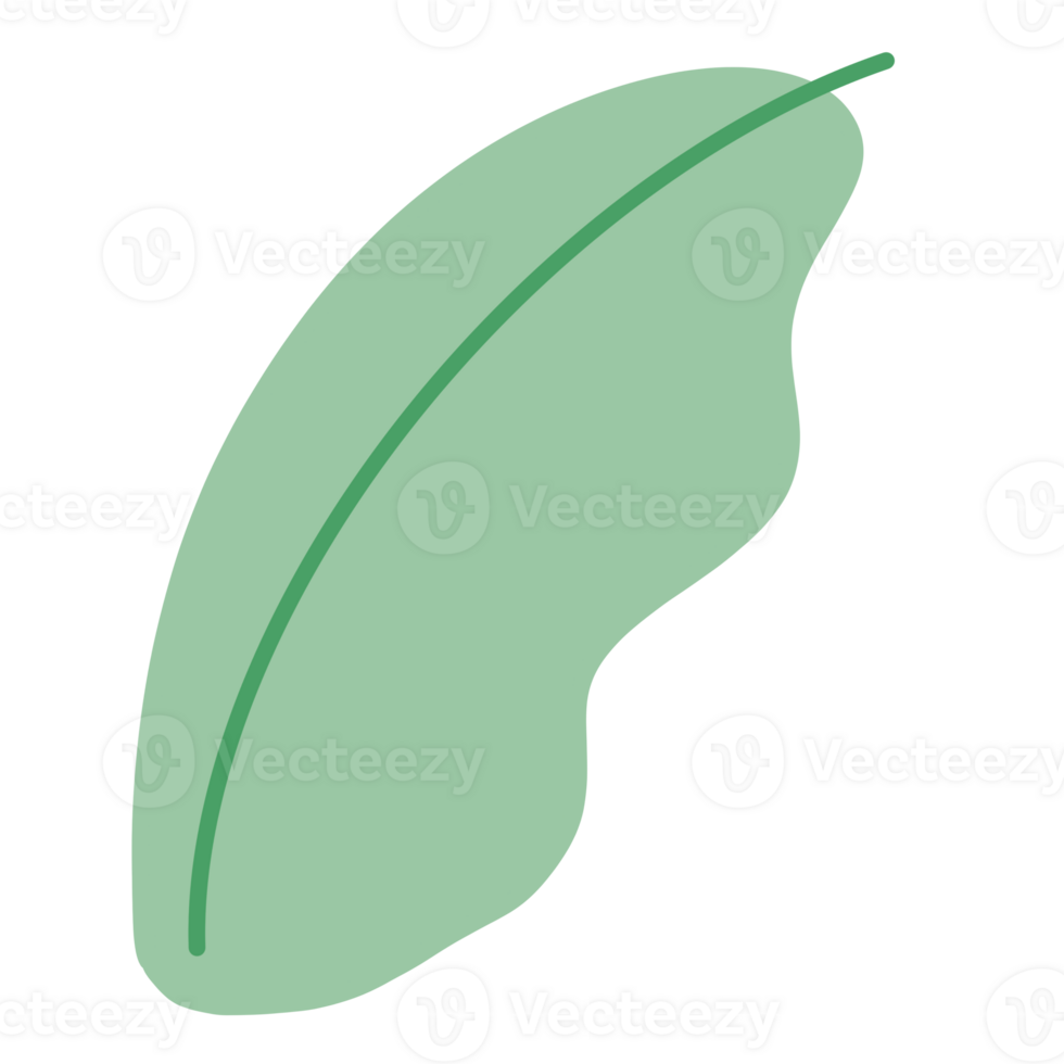 Leaf Abstract Shape Cartoon illustration Abstract Element png