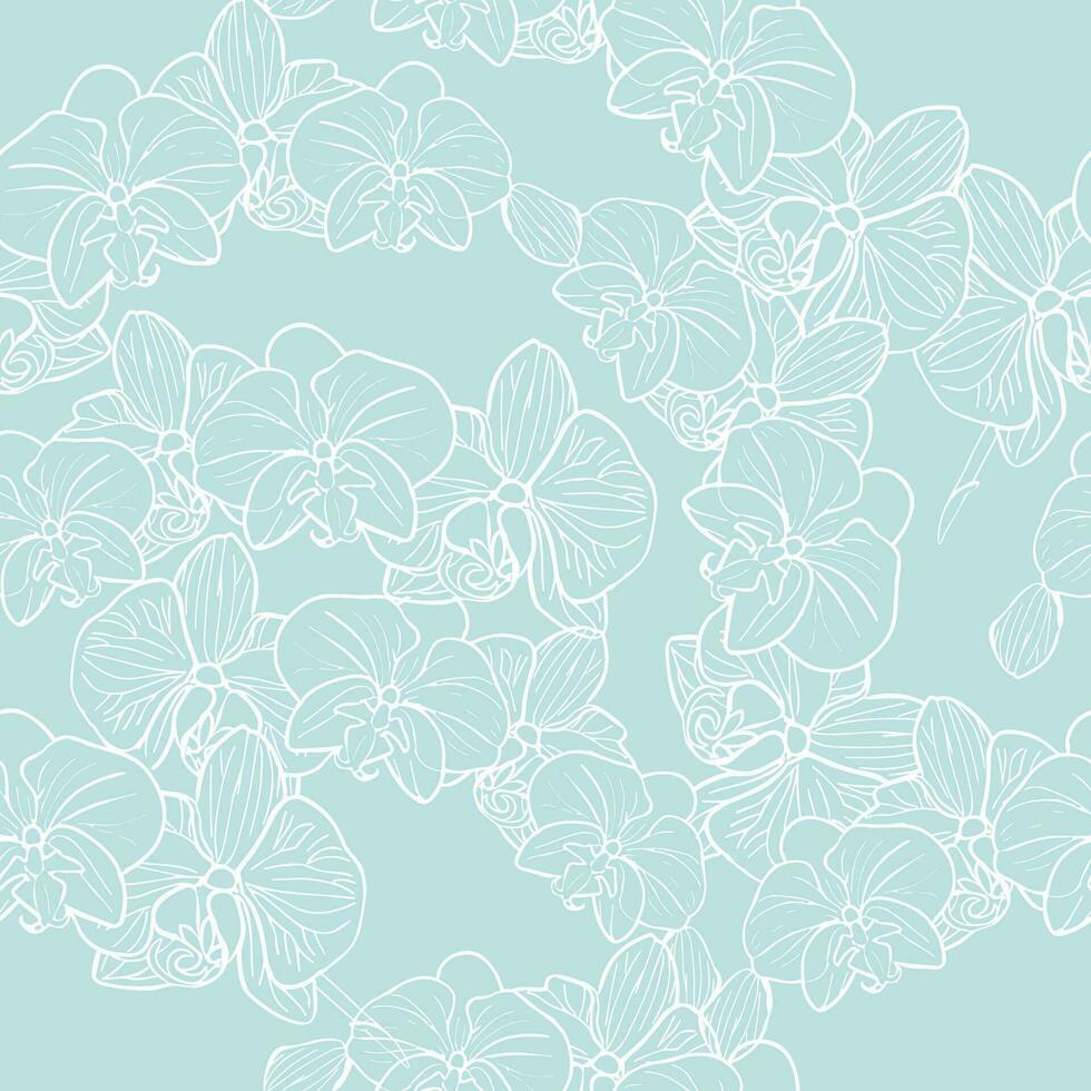 Orchid flower flower branch with buds and flowers Vector illustration isolated on white, for tropical design