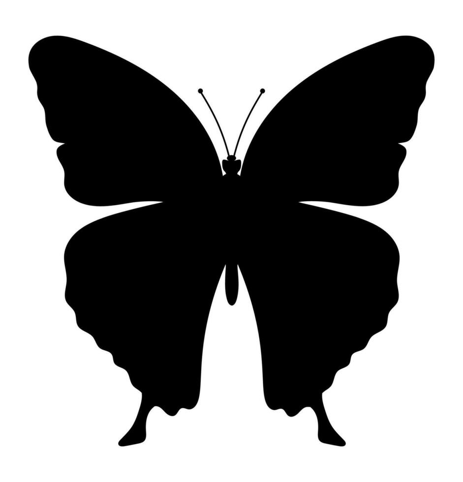 buterfly insects wildlife animals vector illustration