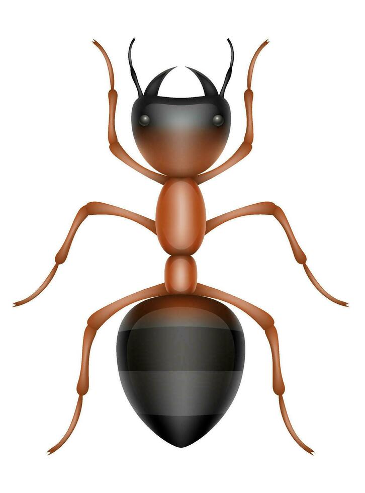 insects wildlife animals vector illustration