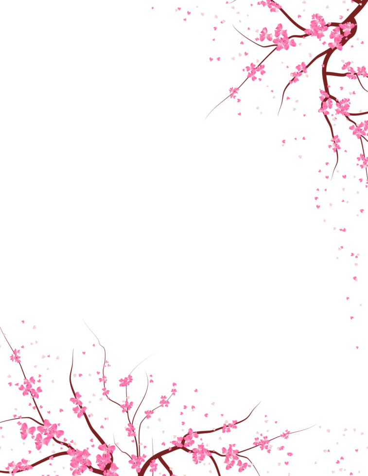 Sakura Bloom Flowers Frame. Cherry Blossom Background. Spring Floral Border png