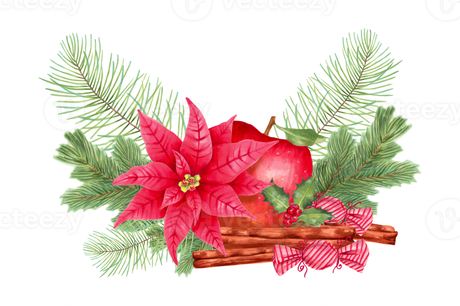 Christmas composition of red apple with poinsettia flower, pine and fir branches, holly berries with cinnamon and caramel candies. Decor for the New Year. Watercolor art. Hand drawn isolated. png