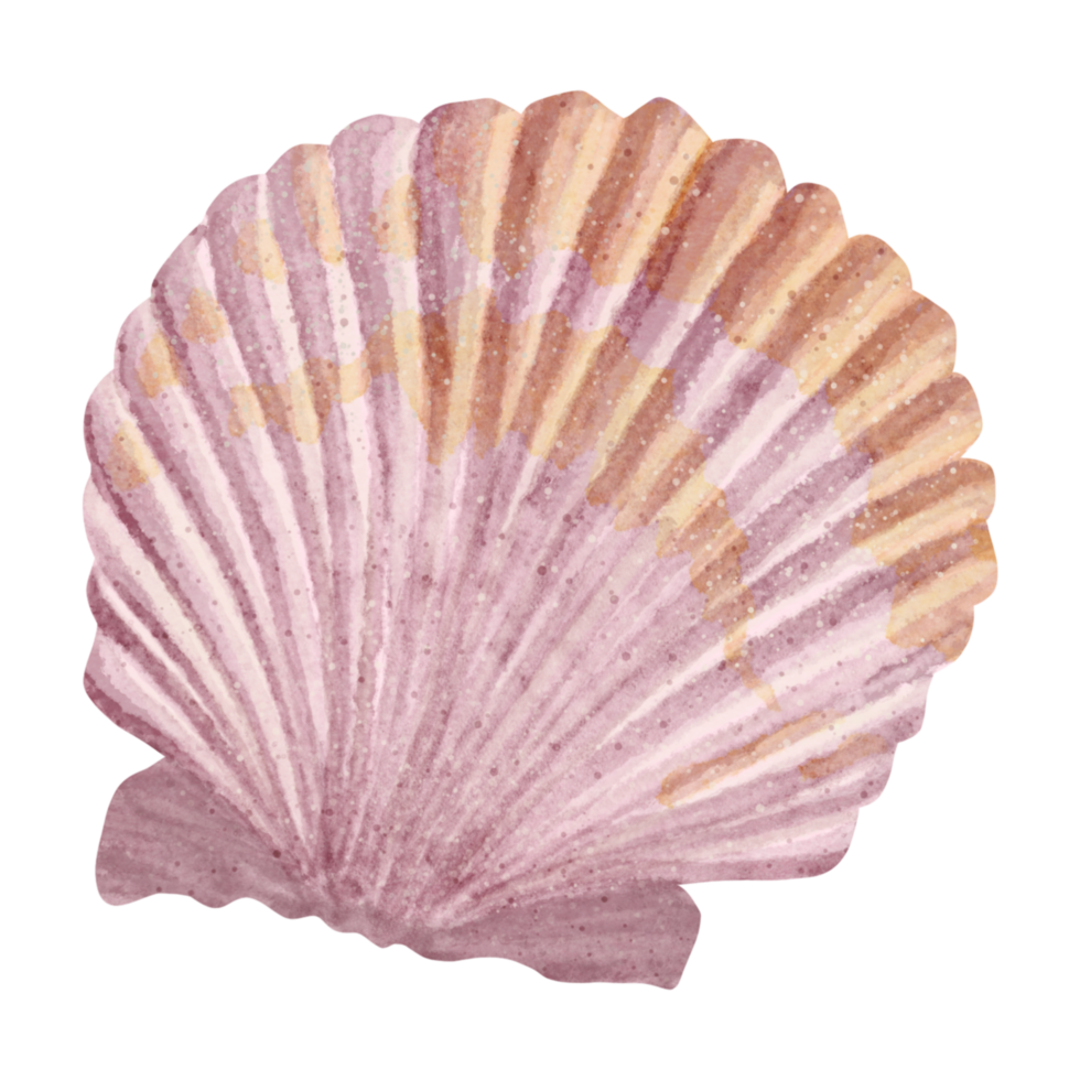 My Image 24
