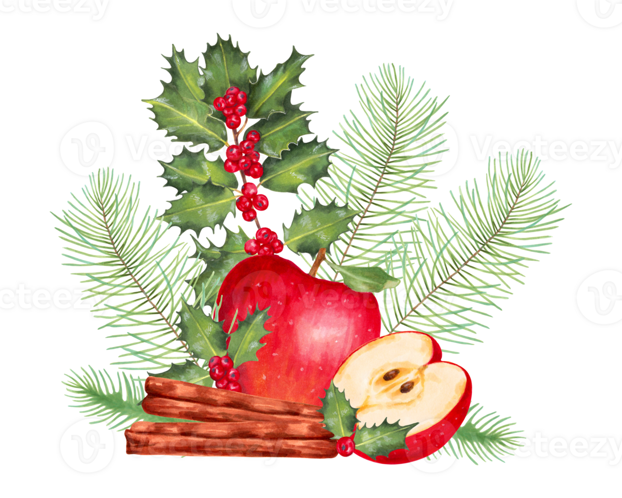 Natal composição do vermelho maçã com pinho e abeto galhos, azevinho ramo com canela. fruta festivo Novo anos decoração. para cumprimento cartões. aguarela e marcador arte. mão desenhado isolado. png