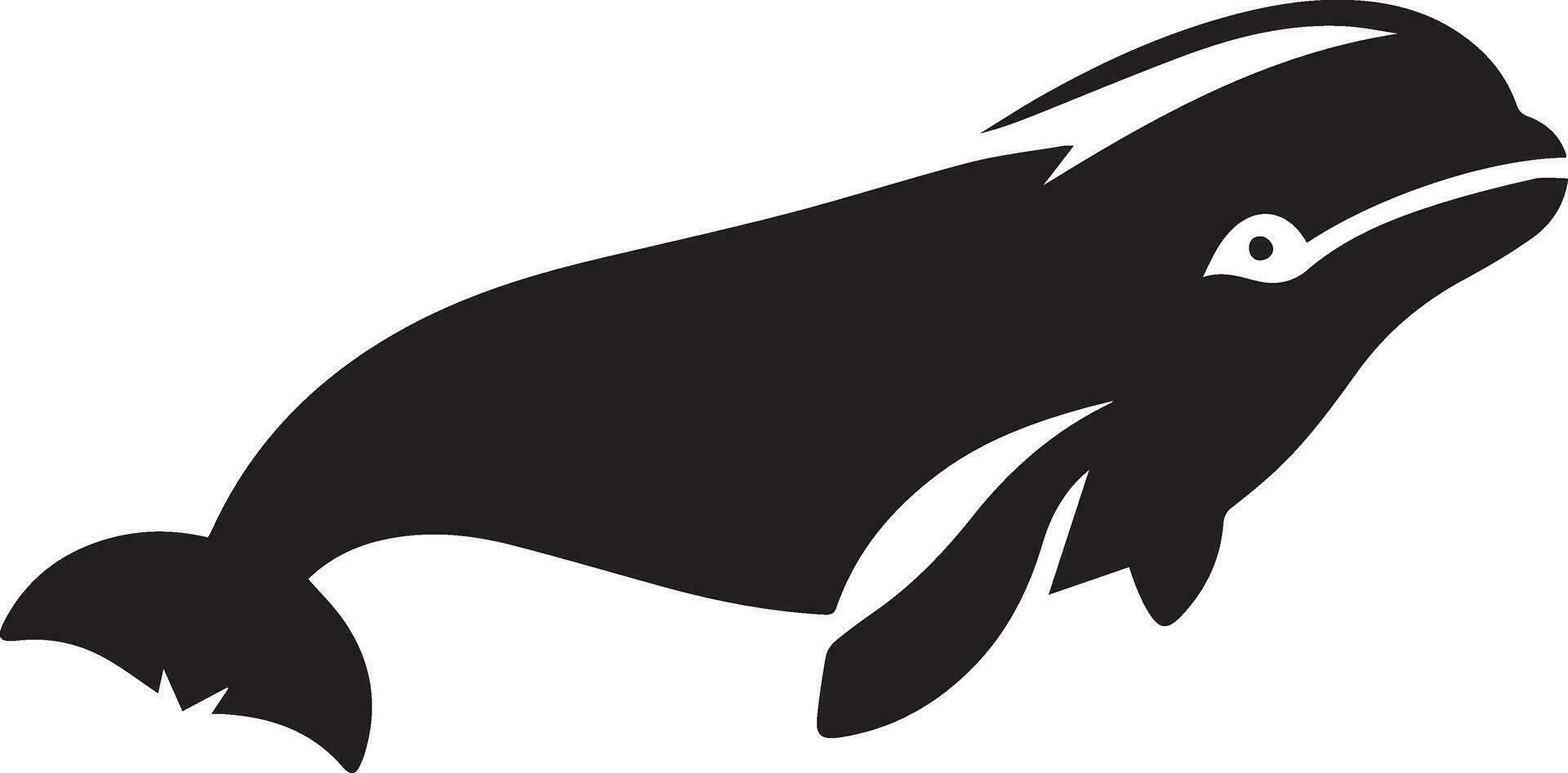 minimal Beluga whale vector silhouette black color white background 24