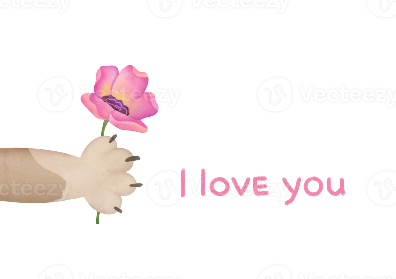 layout for Valentine's Day card on February 14th with inscription I love you. watercolor greeting card with frame on transparent background. cat's paw holds out flower. romantic relationship, Love png