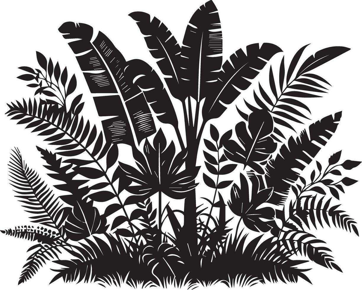 Jungle Plant vector silhouette black color 16