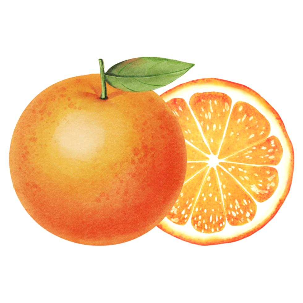 orange with leaves png