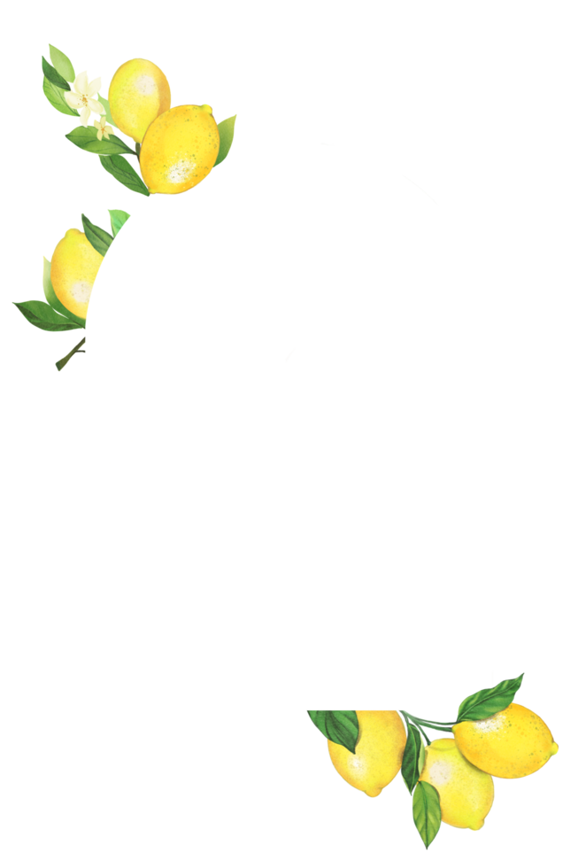 lemon frame pattern png