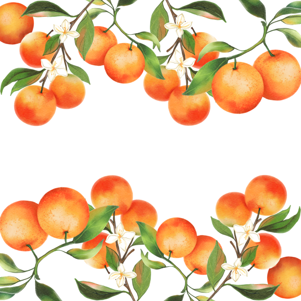 orange with leaves png