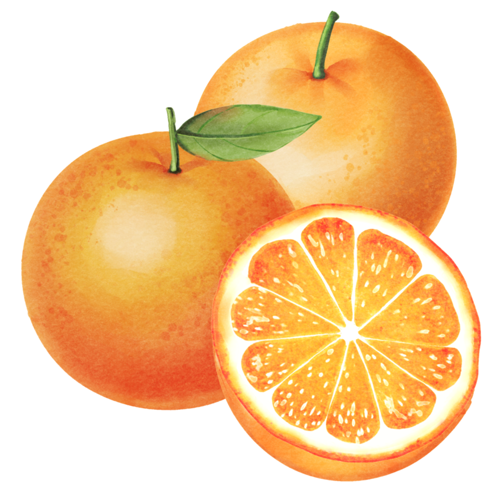 orange with leaves png