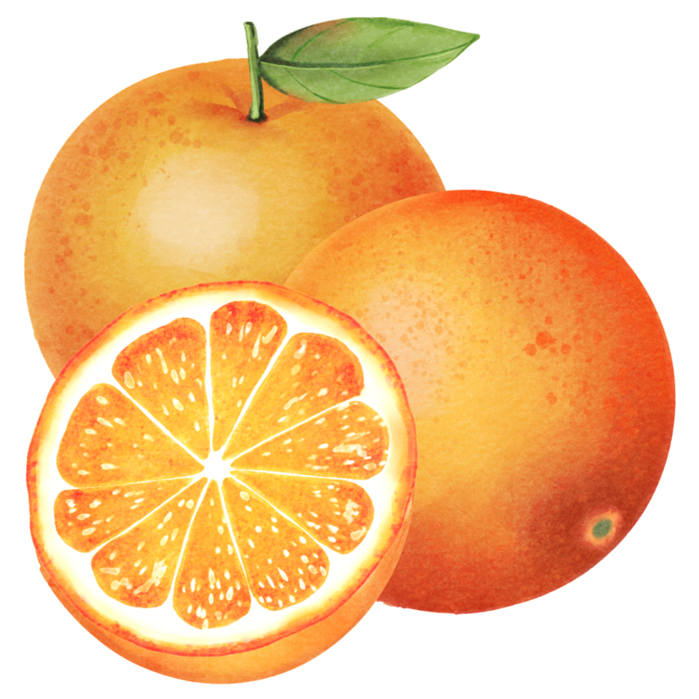 orange with leaves png
