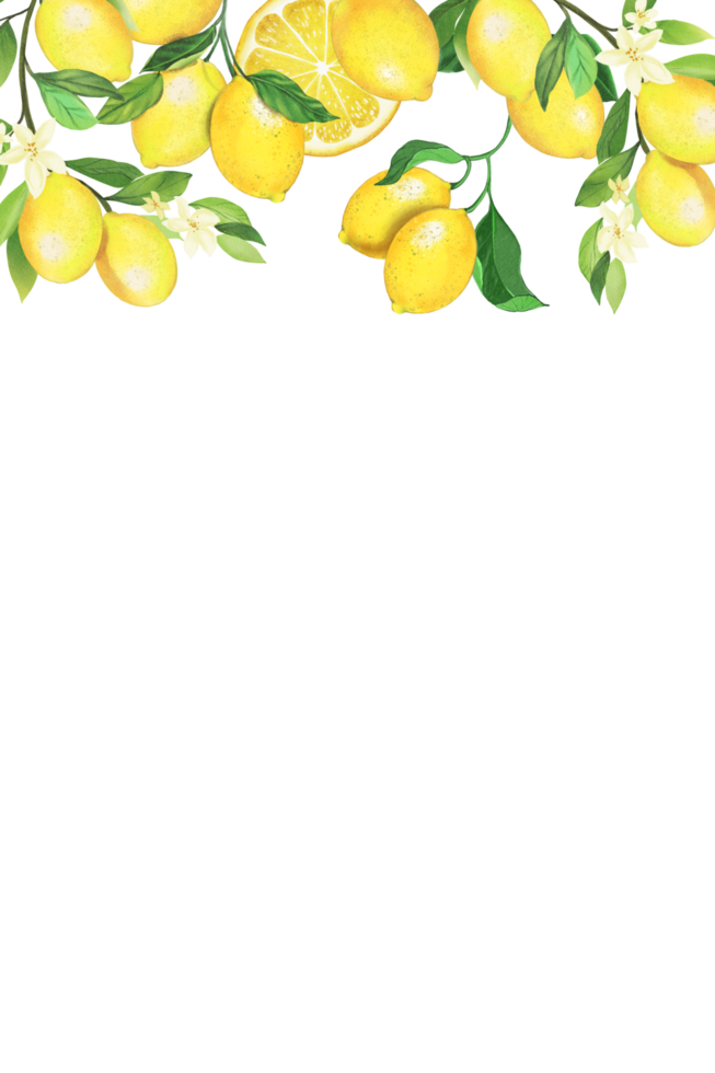 lemon frame pattern png