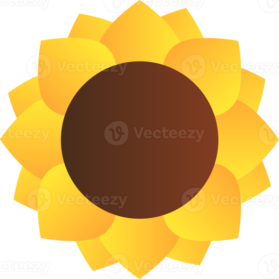 spring flower illustration png
