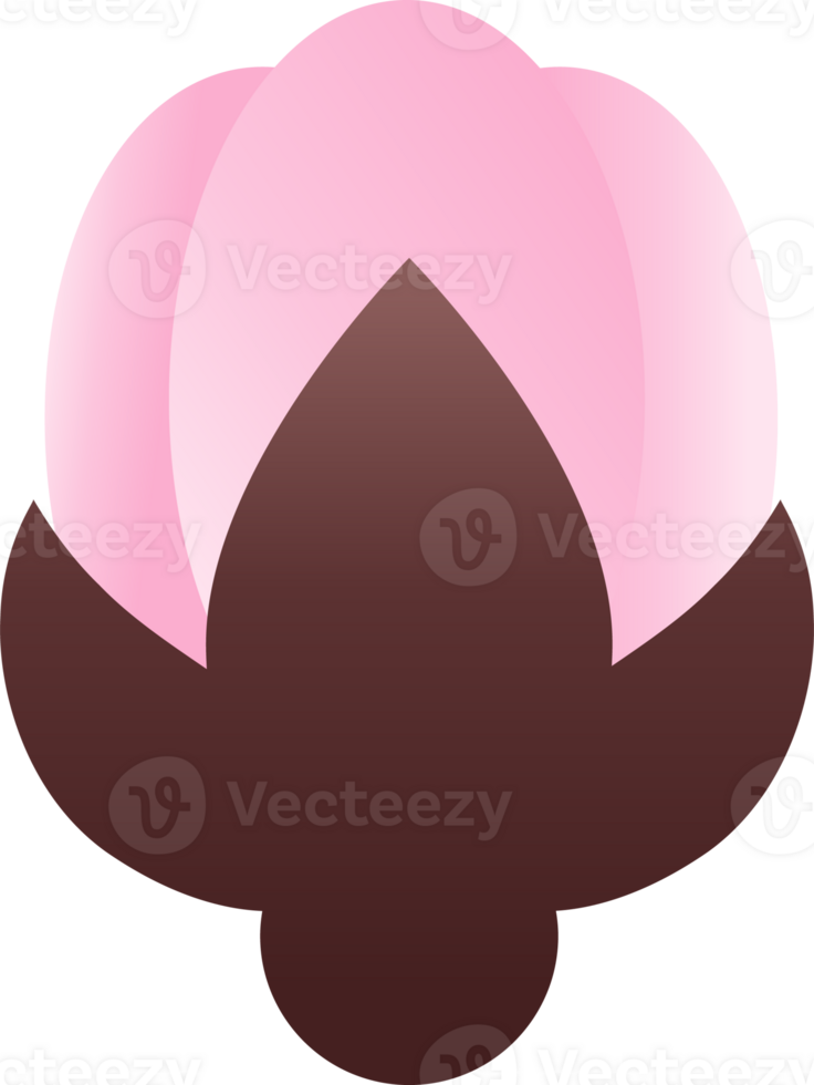 spring flower illustration png