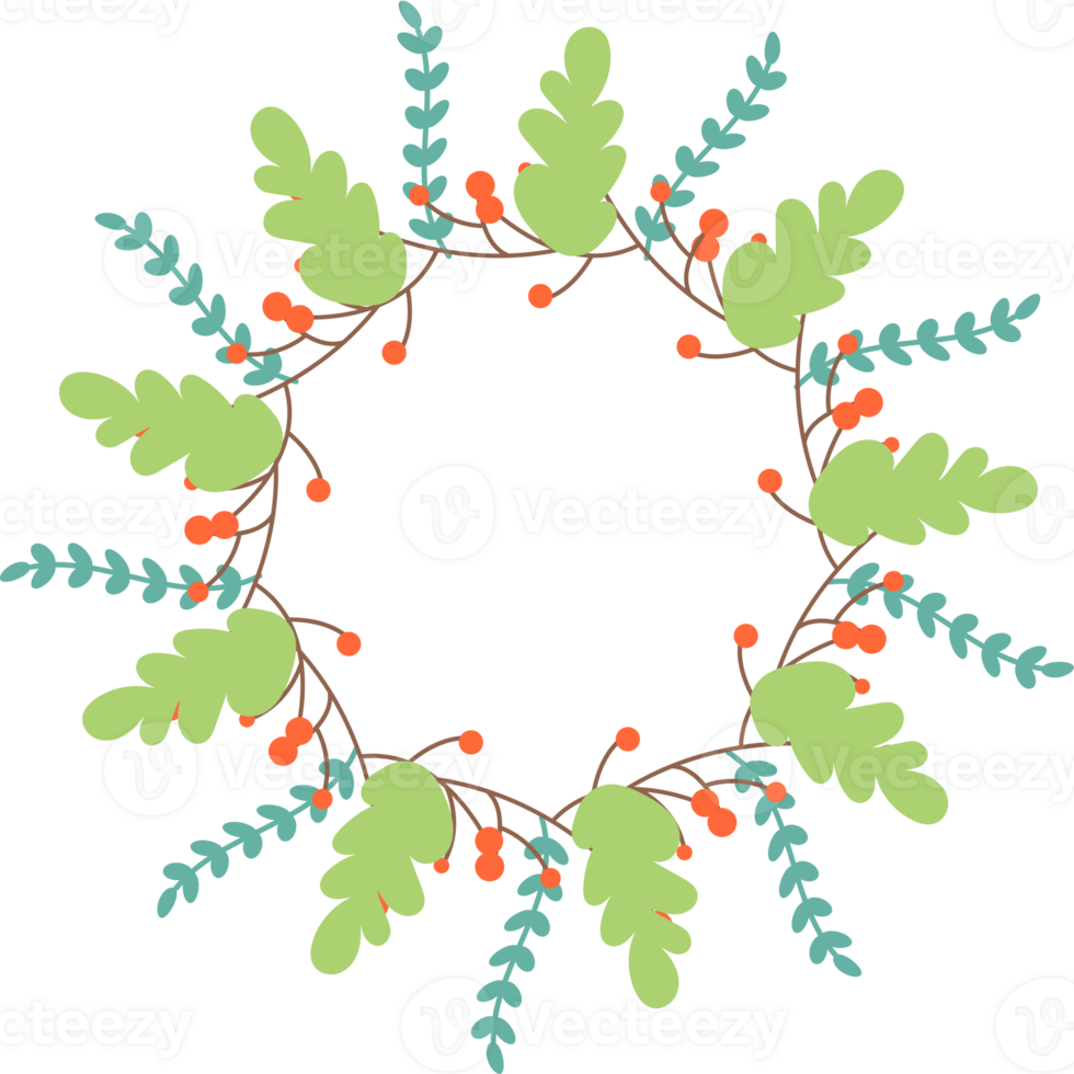 plant leaf illustration png