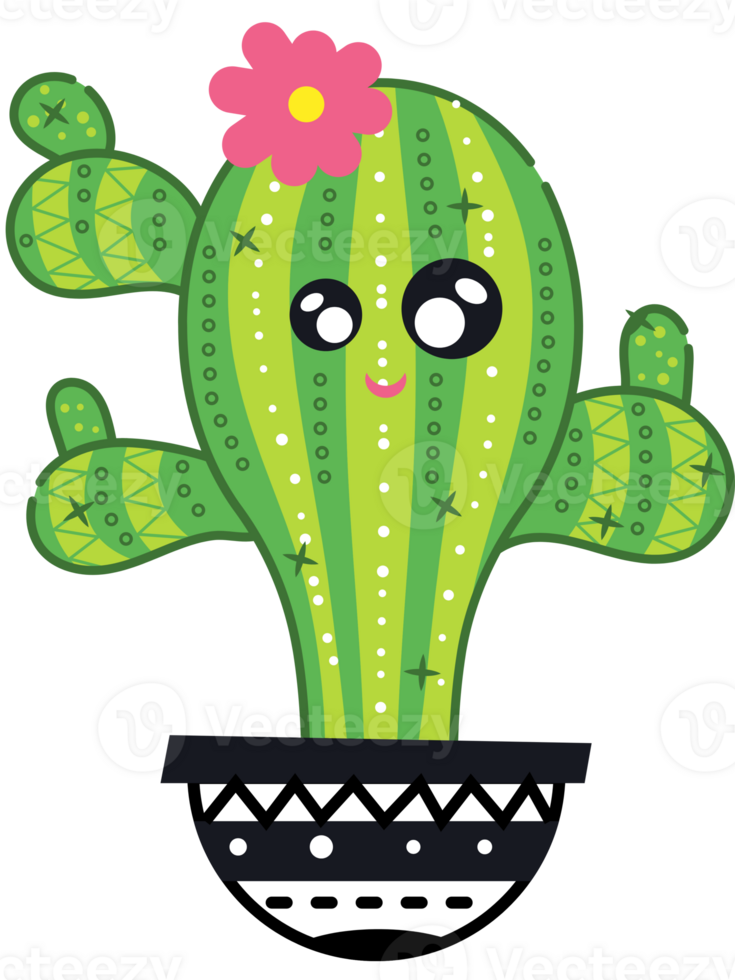 cactus in the pot png