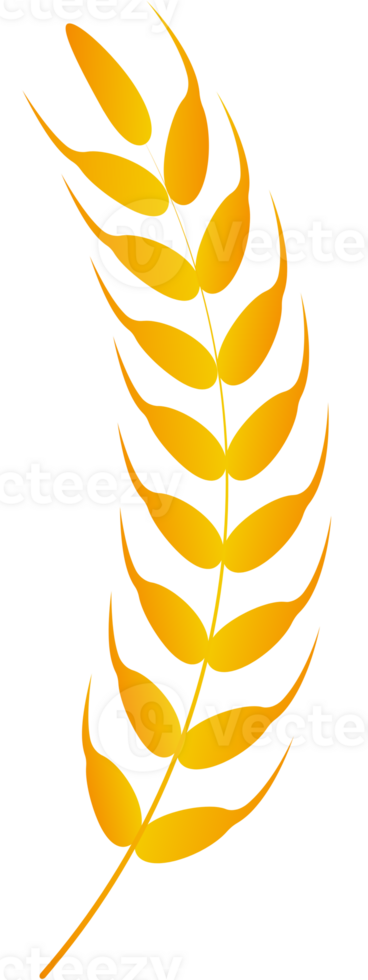 wheat harvest illustration png