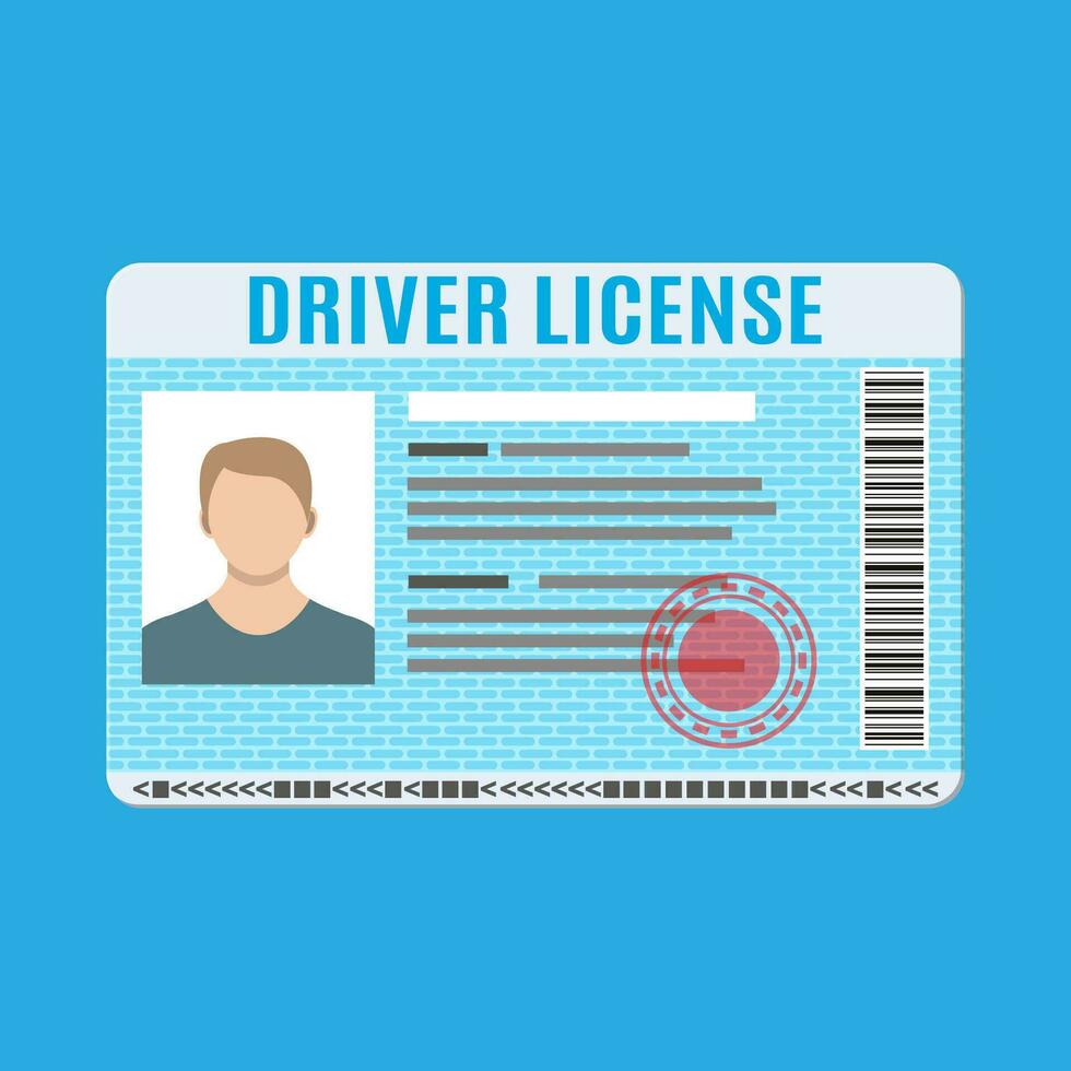 Car driver license identification card with photo. Driver license vehicle identity document. Stamp, barcode, plastic id card. Vector illustration in flat style