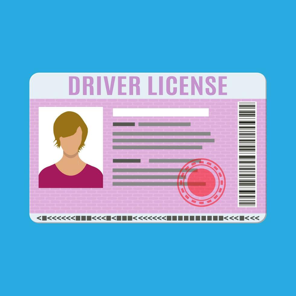 Car driver license identification card with photo. Driver license vehicle identity document. Stamp, barcode, plastic id card. Vector illustration in flat style