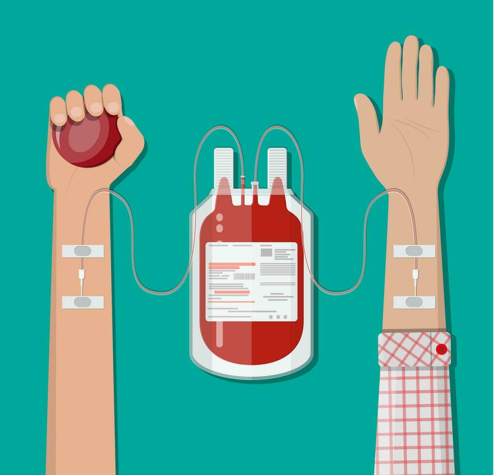 Blood bag at holder and hand of donor with ball. Blood donation day concept. Human donates blood. Vector illustration in flat style.