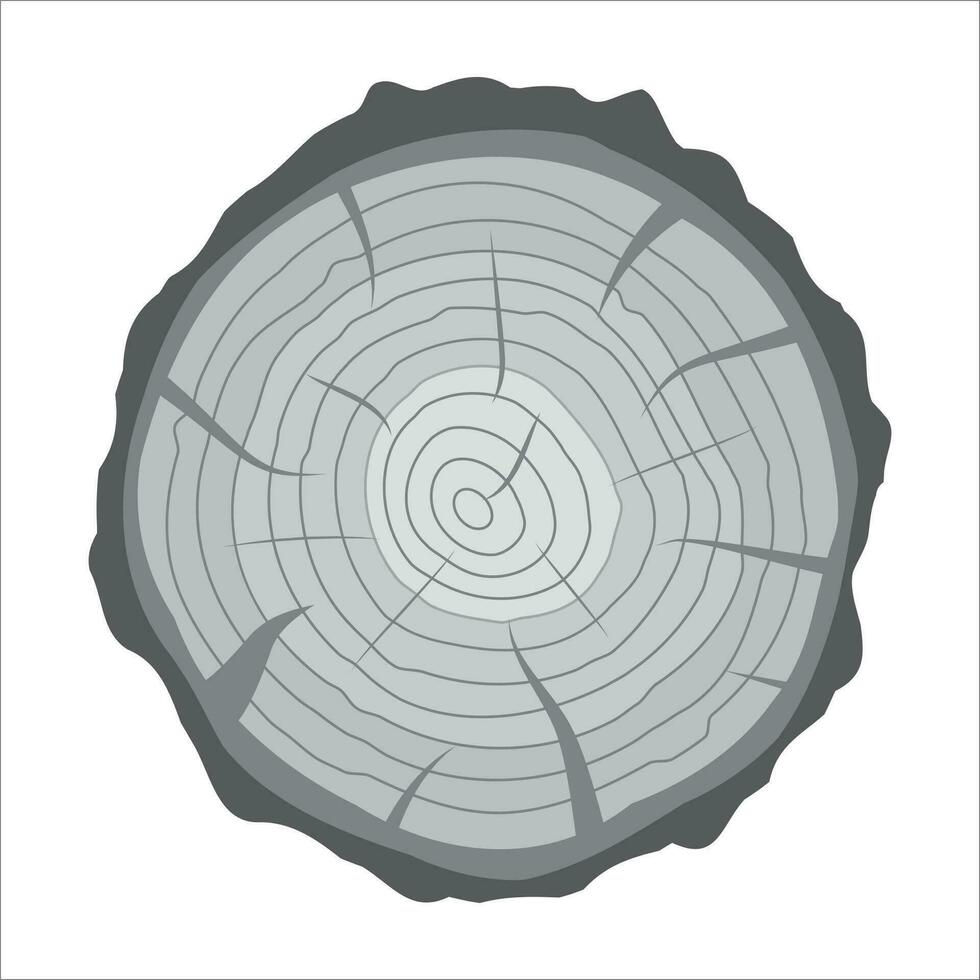 Cross section of tree stump or trunk. Wood cut. Vector illustration in flat style