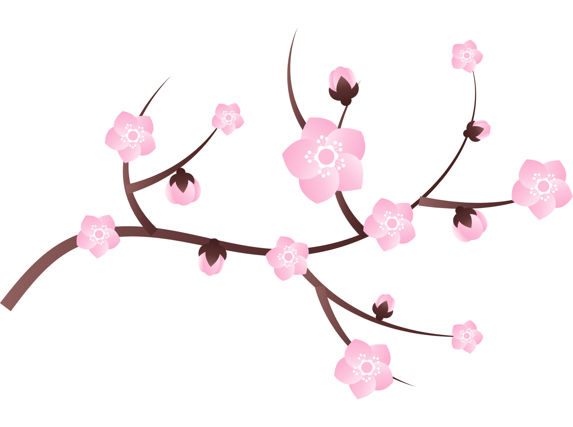 peach flowers illustration 35630532 PNG