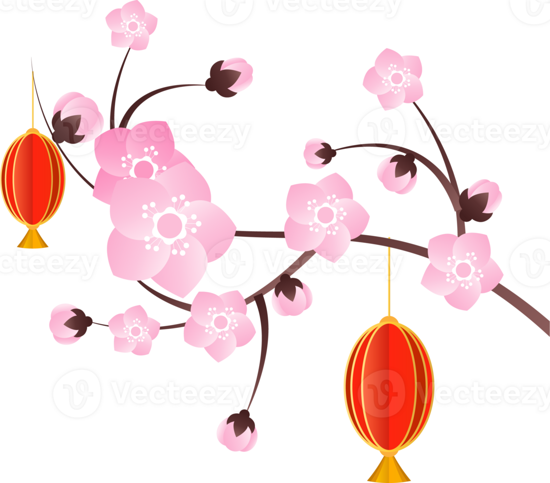 peach flowers illustration png