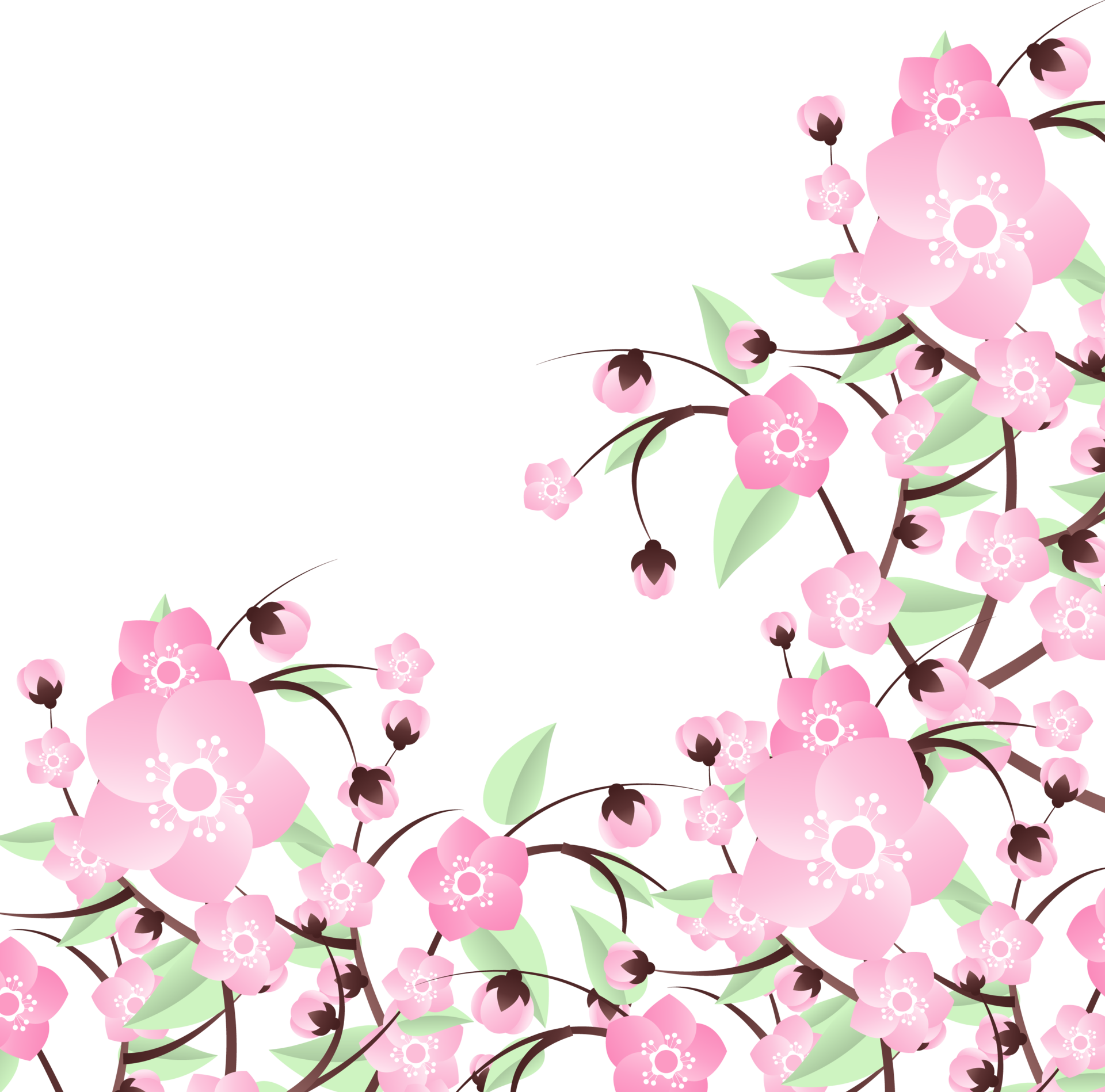 peach flowers illustration 35630545 PNG