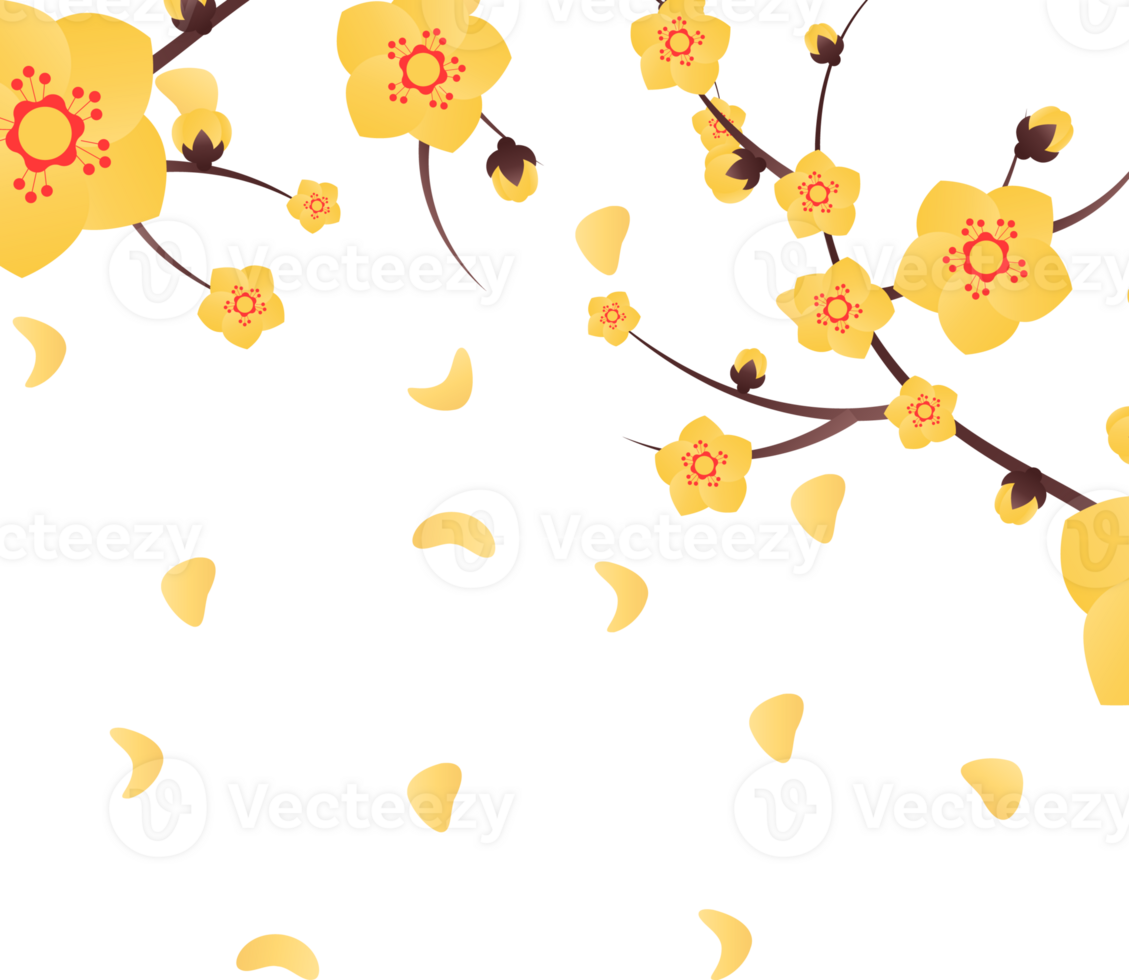 peach flowers illustration png