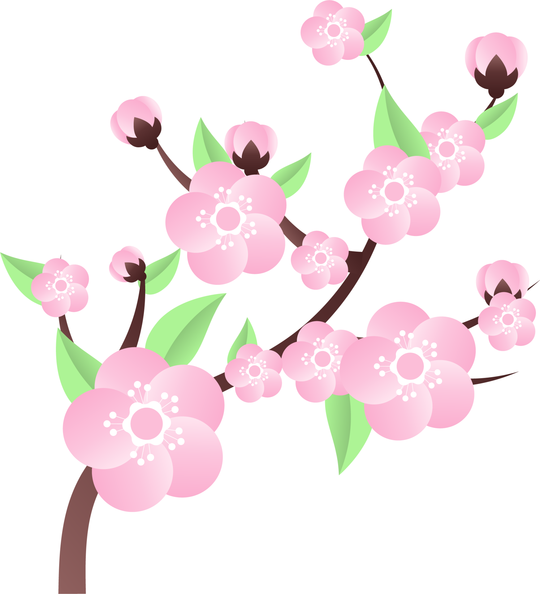 peach flowers illustration 35630564 PNG
