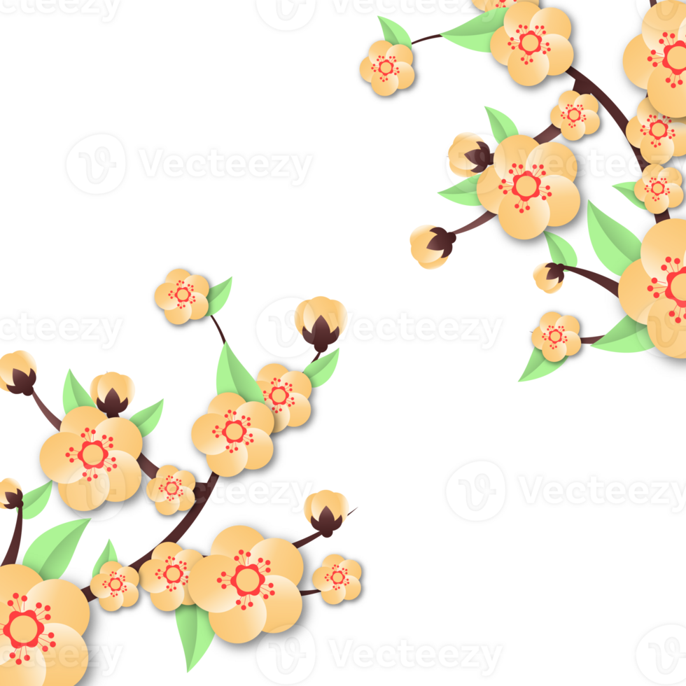 peach flowers illustration png