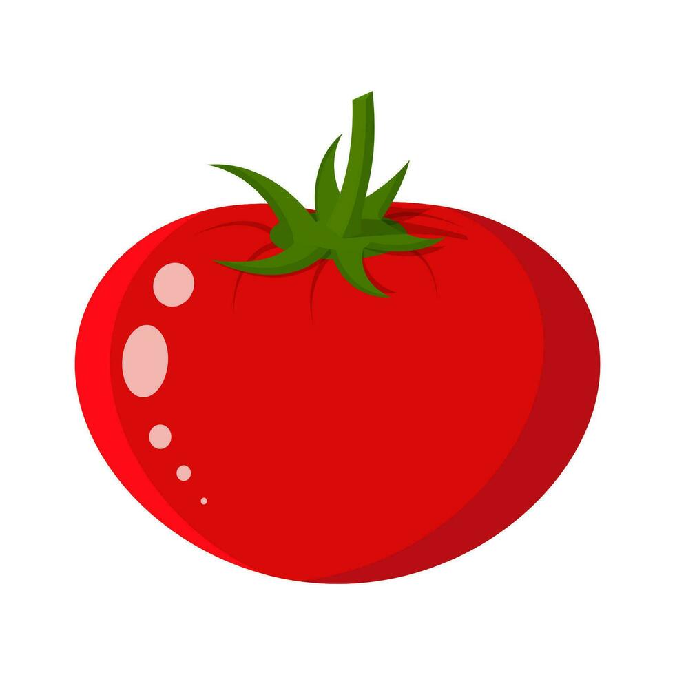 tomate vegetal aislado en blanco. vector ilustración en plano estilo