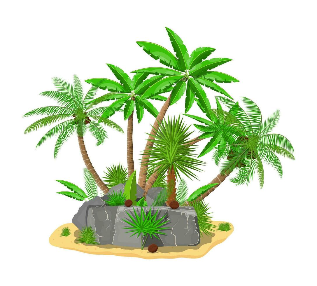 Tropical green palm and stones. Jungle leaves. Coconut palm, monstera, fan palm, rhapis. Natural leaf, exotic branches tree. Vector illustration in flat style