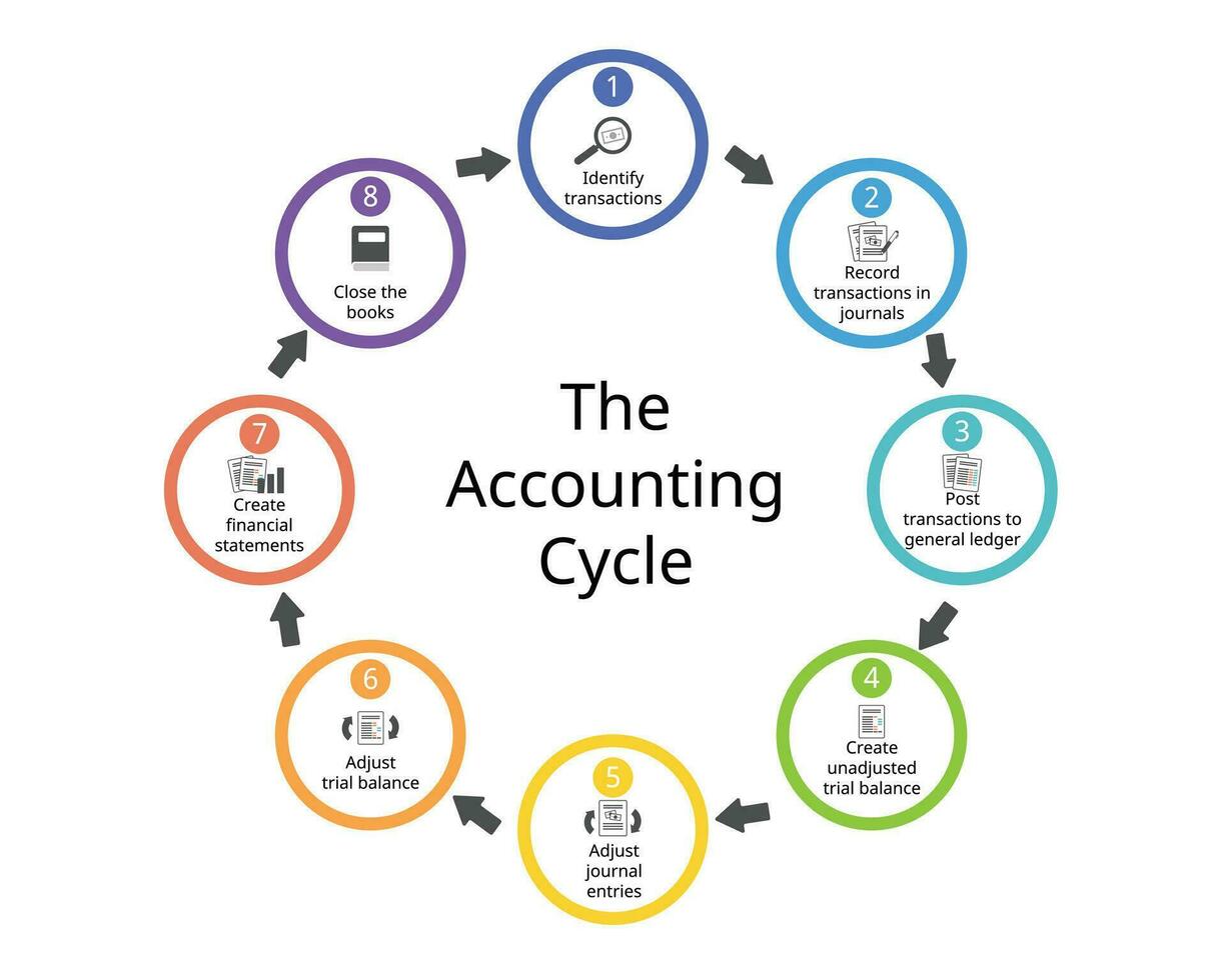 The 8 Steps in the Accounting Cycle for financial statements report vector