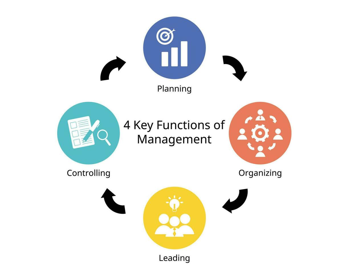 The Four Functions of Management for planning, organizing, leading and controlling vector